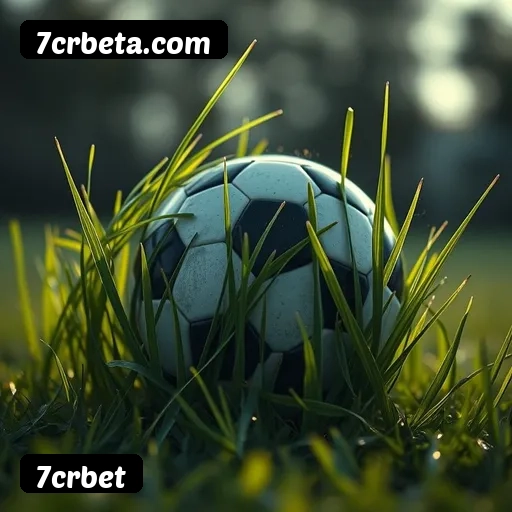 Benefícios do Login 7crbet - Bônus e Vantagens Exclusivas